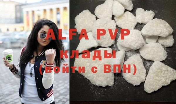 ешки Новодвинск