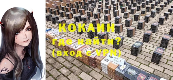 ешки Новодвинск