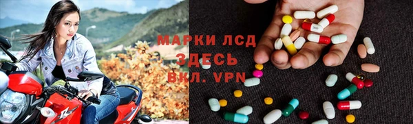 ешки Новодвинск