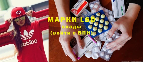 ешки Новодвинск