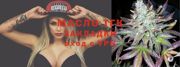 ешки Новодвинск