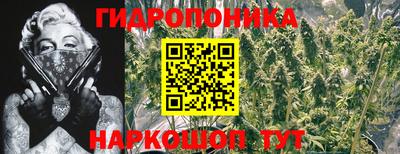 первитин Дубна