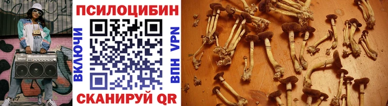 Галлюциногенные грибы прущие грибы Киров