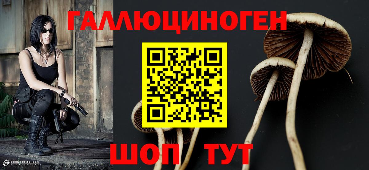 Галлюциногенные грибы MAGIC MUSHROOMS  купить наркотики сайты  Киров 